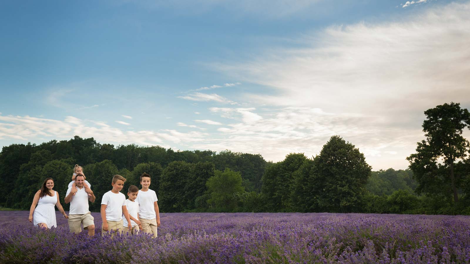 Maison lavande wide shot of lavender field